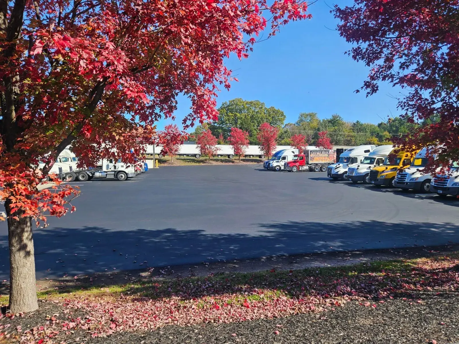 Commercial lot with new asphalt paving